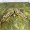 Legion Terrain - Forest Fallen Tree - Miniature Tabletop Wargaming Terrain (Painted) view 4