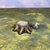 Legion Terrain - Forest Scatter Stump - Miniature Tabletop Wargaming Terrain (Painted) view 3