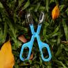 Fuhiueos 10pcs Gogga Catcher Scissors Tongs Tweezers Scooper Clamp Kids Toy Tool for Professional Pet Shops view 3
