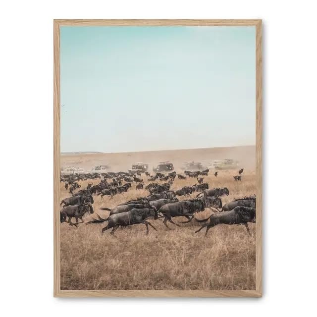 AlexandreHouse Image Wildebeest Stampede_FASE5