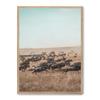 AlexandreHouse Image Wildebeest Stampede_FASE5 view 1