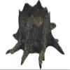 Legion Terrain - Forest Mzee Tree - Miniature Tabletop Wargaming Terrain (Painted) (Short Base) view 1