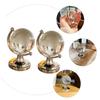 CORHAD 2Pcs Globe for Desktop Decor Aesthetic Geography Globe Decoration Office Accent Present Ball view 3