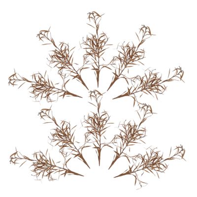 KONTONTY Model Train Scenery Desert Shrubs Natural Look Miniature Greenery for Home Decor Landscaping and Craft Projects Faux Plants for Train Layouts and Miniature Gardens