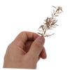 KONTONTY Model Train Scenery Desert Shrubs Natural Look Miniature Greenery for Home Decor Landscaping and Craft Projects Faux Plants for Train Layouts and Miniature Gardens view 4