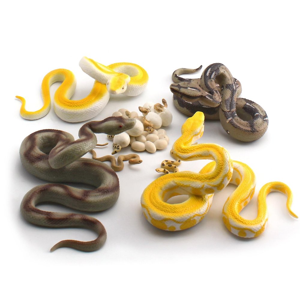 10PCS 5Inch Solid Realistic Boa Constrictor Figurine Python Figurine Snake Figures For Kids Cobra Life Cycle With Leaves Model Diorama Supplies Birthday Party Favors Cake Topper For Boys Girls Kid