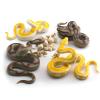 10PCS 5Inch Solid Realistic Boa Constrictor Figurine Python Figurine Snake Figures For Kids Cobra Life Cycle With Leaves Model Diorama Supplies Birthday Party Favors Cake Topper For Boys Girls Kid view 1