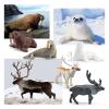 21PCS 2-4 Inch Arctic Sea Animal Figurines Set with Igloo,Mini Polar Animals Toys,Whales,Polar Bear,Caribou,Penguin,Walrus Figurines Cake Toppers Birthday Gifts for Preschool Educational Gift view 2