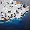 25PCS Big Polar Bear Arctic Penguin Figurines Toy Polar Animals Toys with Igloo Whales Caribou Penguin Walrus Figurines Cake Toppers Birthday Gifts for Preschool Educational Gift view 3