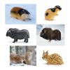 20PCS Arctic Polar Toy Set and Snow Tree Arctic Animals Toys with Igloo,Caribou,Penguin,Walrus Figurines for Cake Toppers Birthday Gifts Preschool Educational Diorama Project view 2