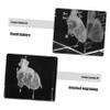 ABOOFAN Anatomical Human Heart Model Crystal Glass Decor Educational Science Medical Tool view 3