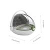 BESTonZON Transparent Silkworm Raising Capsule Portable Observation Box for Boy Girl Multi-Purpose Insect Breeding Container Detachable Design for Easy Use for Silkworm Enthusiasts view 2