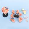 4D Anatomy Brain Model, Human Brain Model Anatomy, Disassembled Human Brain Model, Human Brain Structure Anatomy Medical Teaching Learning Tool view 4