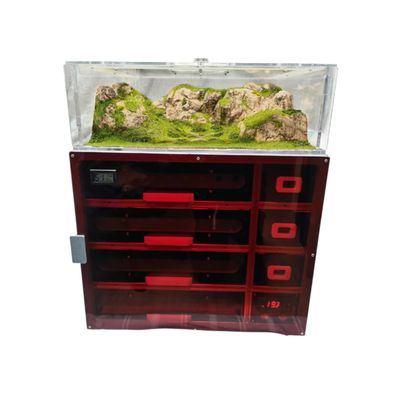 Drawer Ant Nest (Single Layer 8 Test Tubes, 2rd Floor)