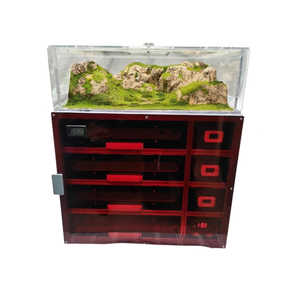 Drawer Ant Nest (Single Layer 8 Test Tubes, 4rd Floor)