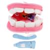 SUPVOX Toy Dentist Set Pp Cotton Plush Kids Toys Educational Teeth Plaything 1 Set Teeth Organ for Early Learning view 1