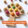 Montessori Materials Wooden Tree for fine Motor Skills Activities Toddler Homeschool Learning Resource Early Years Gift for Kids (Tree+Autumn Felt Balls) view 3