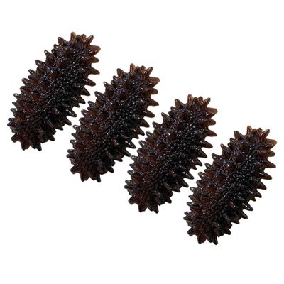 Abaodam 4pcs Mini Sea Cucumber Models Realistic Educational Props for Home Decoration and Photography Lightweight Sea Slug Figurines for Cognitive Learning and Display