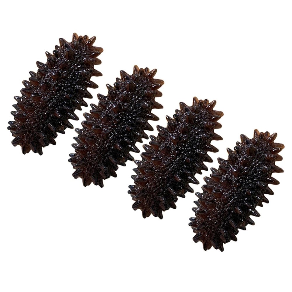 Abaodam 4pcs Mini Sea Cucumber Models Realistic Educational Props for Home Decoration and Photography Lightweight Sea Slug Figurines for Cognitive Learning and Display
