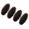 Abaodam 4pcs Mini Sea Cucumber Models Realistic Educational Props for Home Decoration and Photography Lightweight Sea Slug Figurines for Cognitive Learning and Display view 1