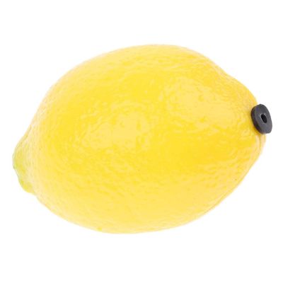 TWTCZOZ Fruit Design Handheld Maraca for Kids, Lemon, as described