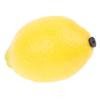 TWTCZOZ Fruit Design Handheld Maraca for Kids, Lemon, as described view 1