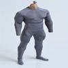 1/12 Scale Male Clothes, Elastic Zipper Bodysuit Jumpsuit Sportswear Clothing for 6-inches Muscular Man Action Figure Body, 1/12 Man One-Piece Bottoming Jumpsuit Costume (Grey - Strong Muscle Man) view 1