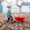 Lehman's Eli & Mattie Kids Wheelbarrow, Sturdy Wooden Handles and Heavy-Duty Plastic Tub, Toy for Outdoor Play, Perfect for Gardening and Active Imaginative Fun view 4