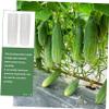 KESYOO 2pcs Cucumber Shaping Moulds Blossom Vegetable Forming Tool for Garden Lightweight Material for Fruit Growth and Vegetable Styling view 3