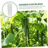 KESYOO 2pcs Cucumber Shaping Moulds Blossom Vegetable Forming Tool for Garden Lightweight Material for Fruit Growth and Vegetable Styling view 4
