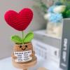 ailov Christian Gifts for Women Men, Jesus Bible Verse, God Says You are - Religious Faith Inspirational Plush with Card, Mini Positive Crochet Flower view 3