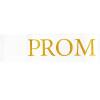 10Pcs Prom Court Sashes, School Dance Graduation Party Accessories for Prom King and QueenGraduation Party White Gold view 3