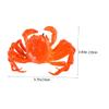 Abaodam 2pcs Realistic Cooked Crab Model Artificial Faux Crab Decoration for Dining Table Kitchen for Parties Educational Play view 2
