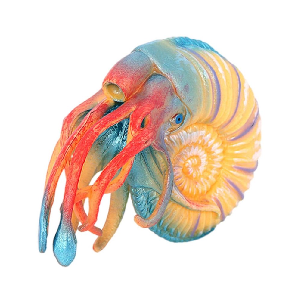 Abaodam Nautilus Model Realistic Simulation Animal Toy for Boys and Girls Educational Nautilus Plaything for Home Decor and Aquariums Brightly and Details