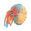 Abaodam Nautilus Model Realistic Simulation Animal Toy for Boys and Girls Educational Nautilus Plaything for Home Decor and Aquariums Brightly and Details view 1