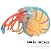 Abaodam Nautilus Model Realistic Simulation Animal Toy for Boys and Girls Educational Nautilus Plaything for Home Decor and Aquariums Brightly and Details view 3