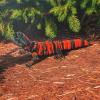 Articulated Gila Monster, Banded | Home Dcor and Office Desk Toys | Autism, ADHD, Sensory | 3D Printed Gift view 2