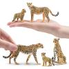 Toymany 8PCS Cheetah Figurines with Cheetah Cubs, Realistic Jungle Zoo Animals Figurines Family Set, Educational Toy Cake Toppers Christmas Birthday Gift for Kids view 3