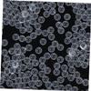 GLEAVI 2000pcs Solid Glass Balls Mini Glass Sphere Lab Equipment Marbles for Beads Crafts view 2