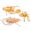 ABOOFAN Realistic Scorpion Models Miniature Insect Toys 3pcs Set Lifelike Figures for Halloween Simulation Home Decor view 1