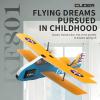 BEACONDESI Biplane RC Airplane for Kids & Adults - 2.4GHz Remote Control with Auto-Balance Gyro, Durable Bend-Proof Design, Indoor/Outdoor Flight for Family Fun & Hand-Eye Coordination view 2