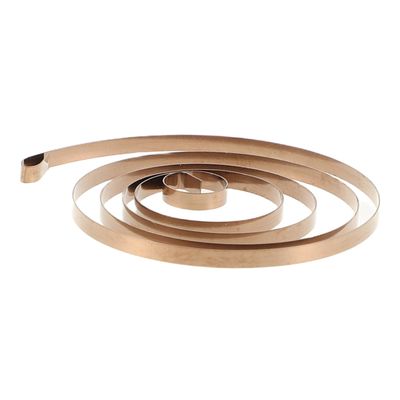 Kisangel Stainless Steel Wind-up Toy Spring for DIY Clockwork Animal Models and Mini Reliable Replacement Part for Christmas Toys and Music Box Projects