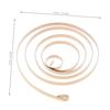 Kisangel Stainless Steel Wind-up Toy Spring for DIY Clockwork Animal Models and Mini Reliable Replacement Part for Christmas Toys and Music Box Projects view 2