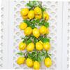 CORHAD 3pcs Artificial Lemon Skewers Faux Fruit Decor Realistic Lemon Models for view 2