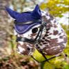Lemieux Hobby Horse Ear Bonnet - Ink Blue - Suitable for Ages 3+ view 2