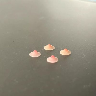 1/12 Scale Female Silicone Chest Patch Body Nipple Prop 2 Pairs Set for 6-inches Action Figure Body Doll, 1/12 Scale Female Action Figure Private Parts Model Accessory (2 Set Pasties)