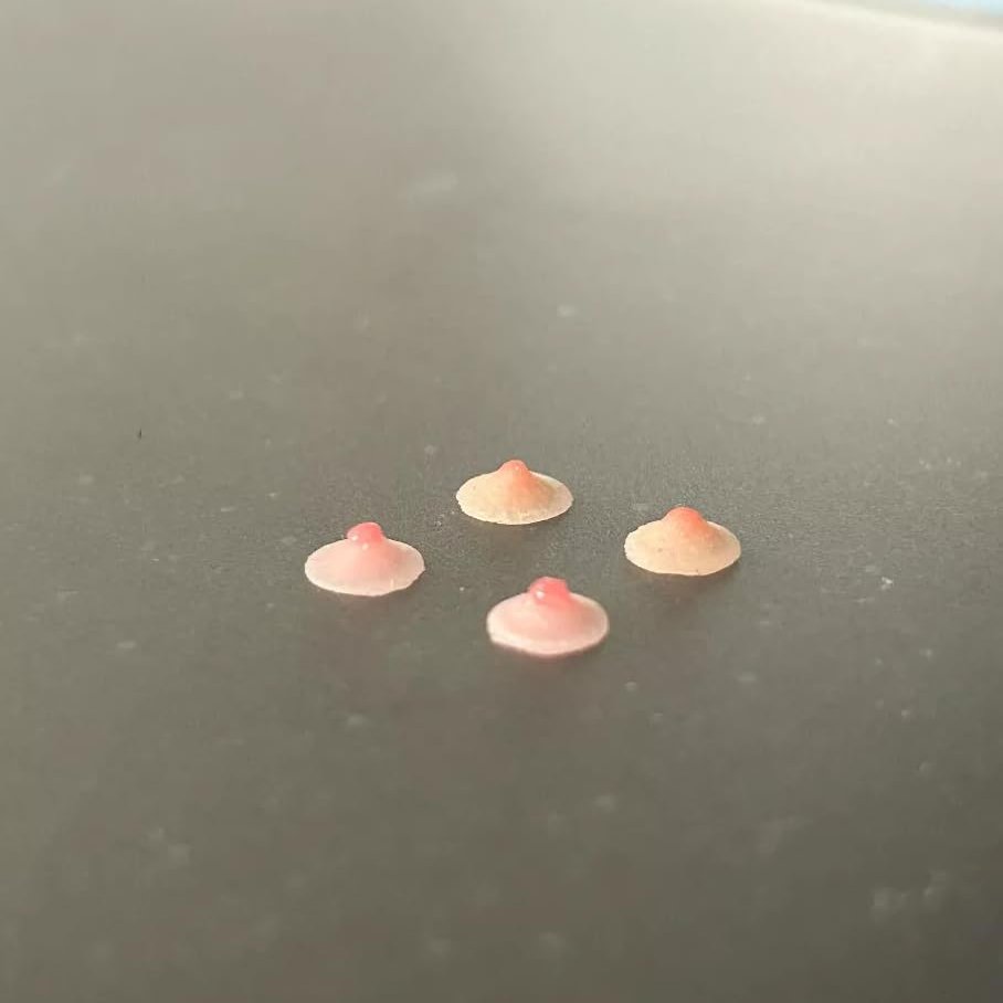 1/12 Scale Female Silicone Chest Patch Body Nipple Prop 2 Pairs Set for 6-inches Action Figure Body Doll, 1/12 Scale Female Action Figure Private Parts Model Accessory (2 Set Pasties)