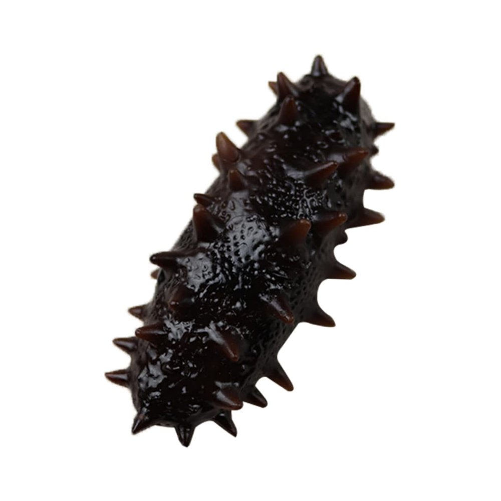HONMEET Fake Sea Cucumber Models Realistic Sea Cucumbers for Food Decor Photography Props Educational Toy