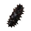 HONMEET Fake Sea Cucumber Models Realistic Sea Cucumbers for Food Decor Photography Props Educational Toy view 1