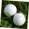 COLLBATH 28Pcs Realistic Fake Pigeon Eggs for Incubation High Imitation Plastic Eggs for Pigeon Breeding Reusable Environmental Friendly Decor Eggs for Projects and Crafts view 3